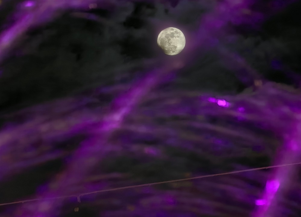 ροζ - Πανσεληνος ροζ - Πανσεληνος