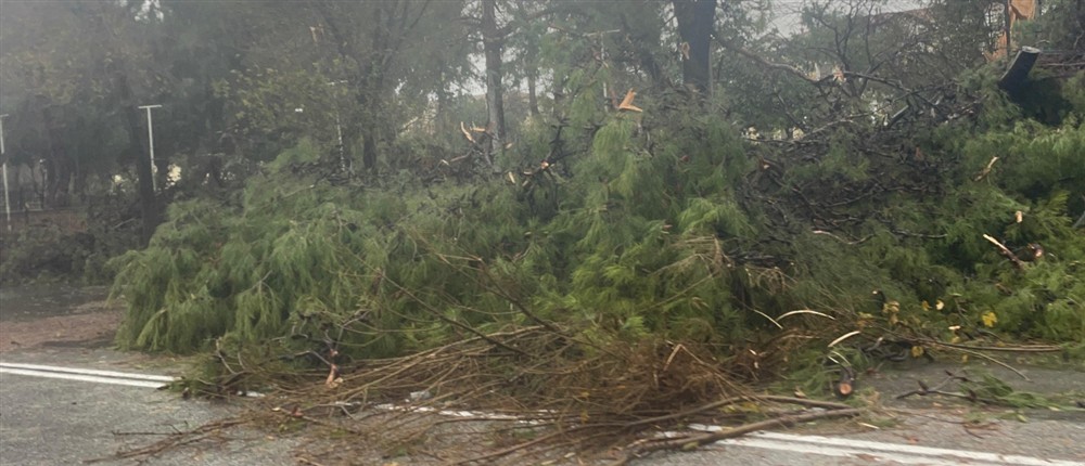 Κακοκαιρία “Bora” - Θεσσαλονικη