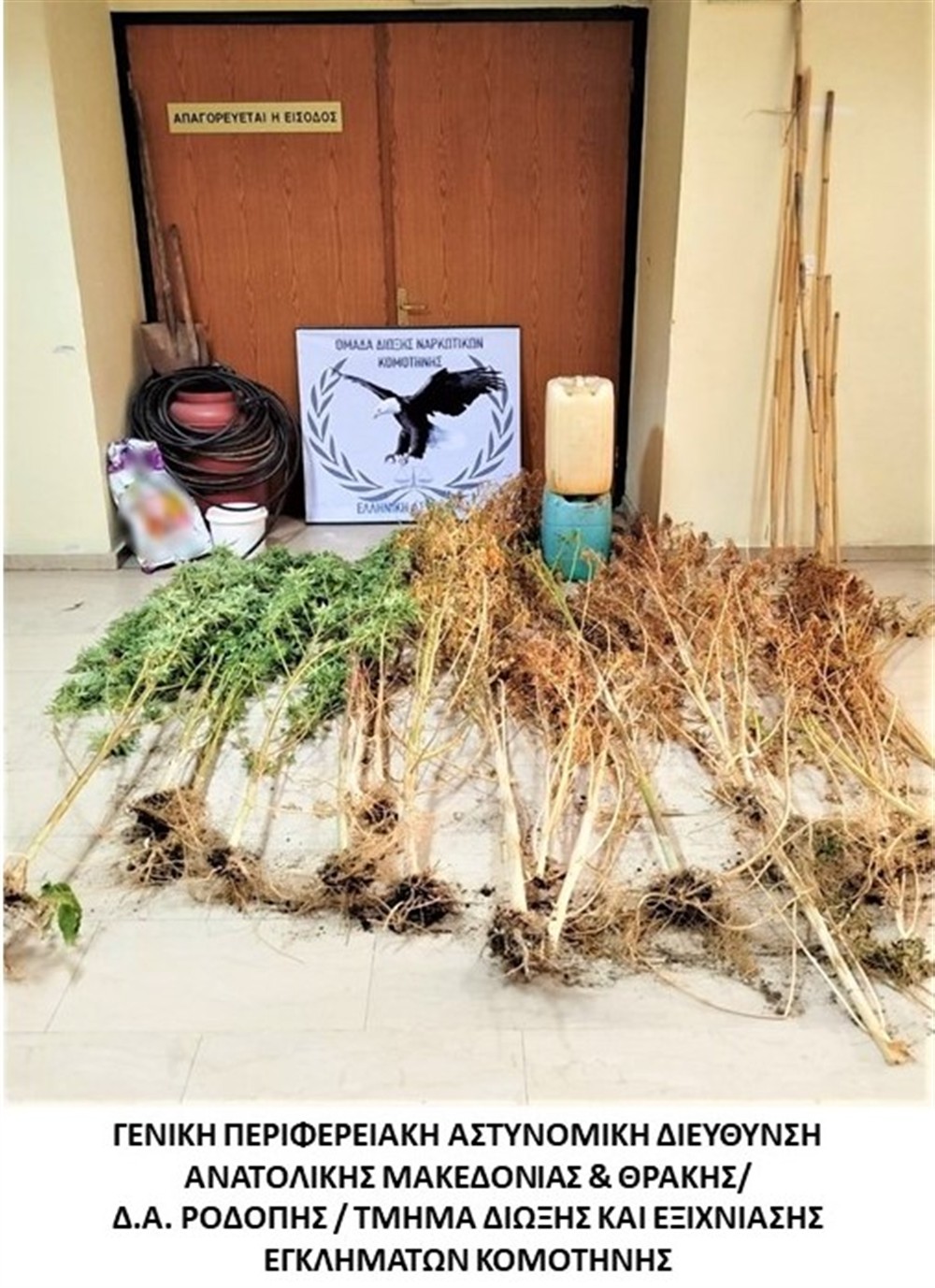 Κάνναβη Καβαλα Αστυνομία Κάνναβη Καβαλα Αστυνομία