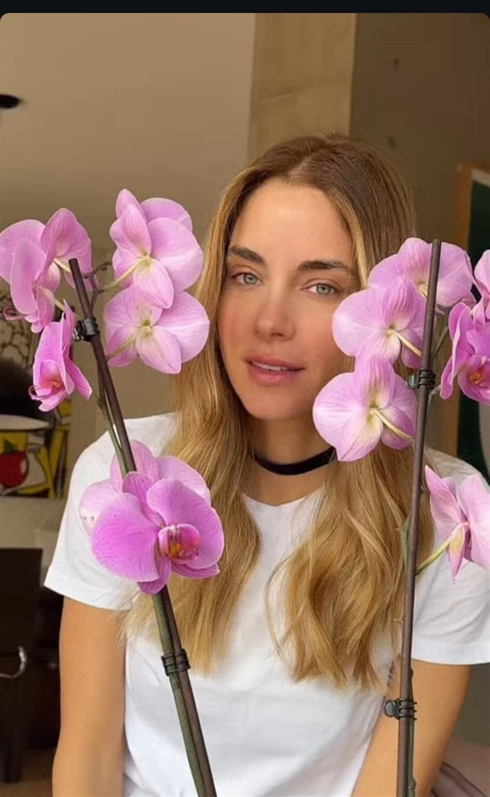 Δούκισσα Νομικού