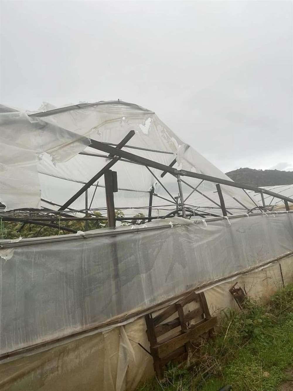 Κρήτη - Μεσαρά - Θερμοκήπιο Κρήτη - Μεσαρά - Θερμοκήπιο