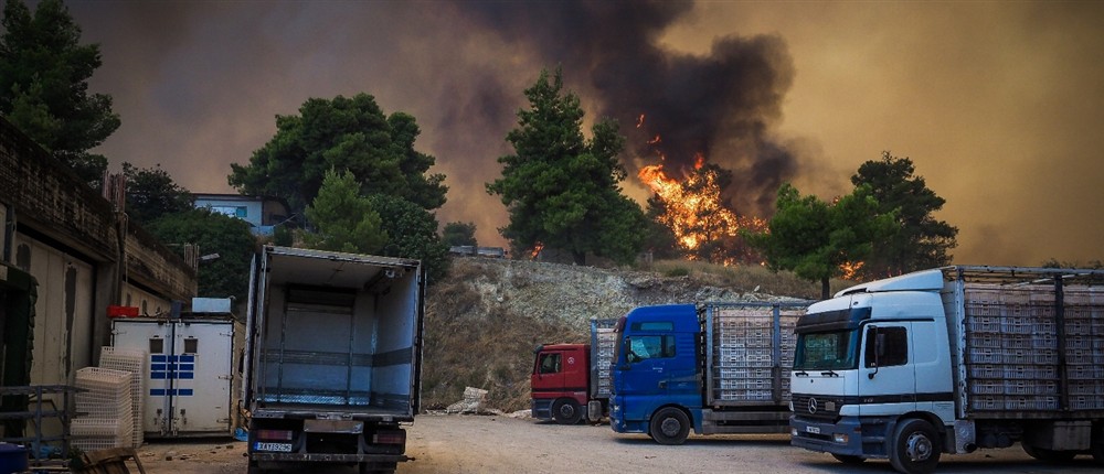 Φωτιά - Εύβοια
