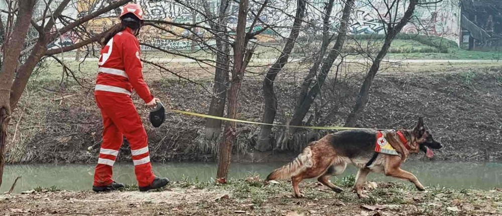 Πηνειός - Εξαφάνιση - Ερυθρός Σταυρός