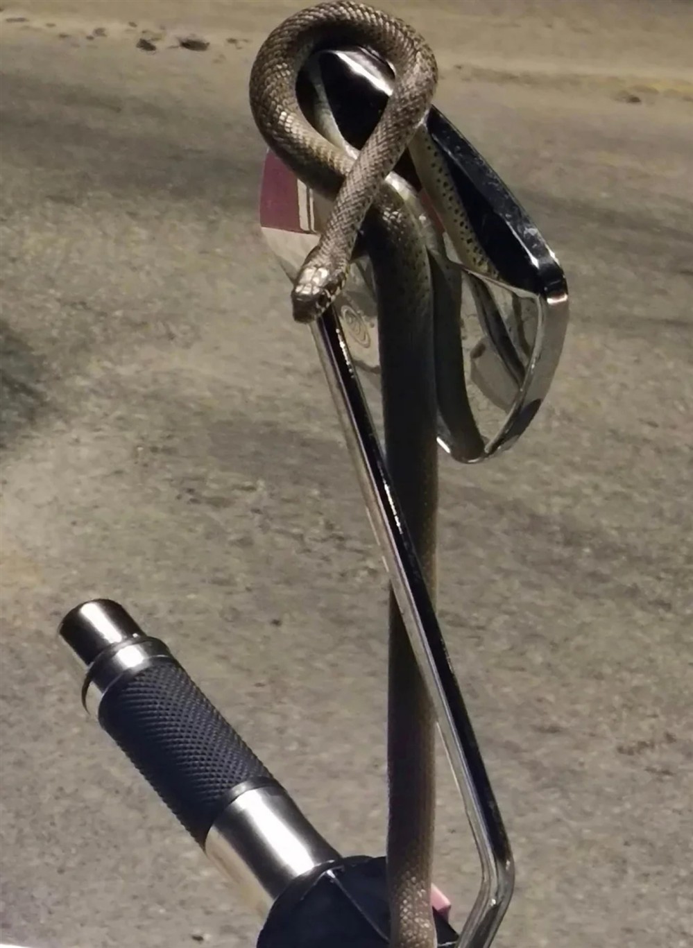 Ηγουμενίτσα - Φίδι - Μηχανή