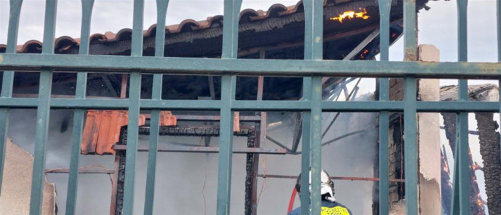 πυρκαγιά στη Ραφήνα πυρκαγιά στη Ραφήνα