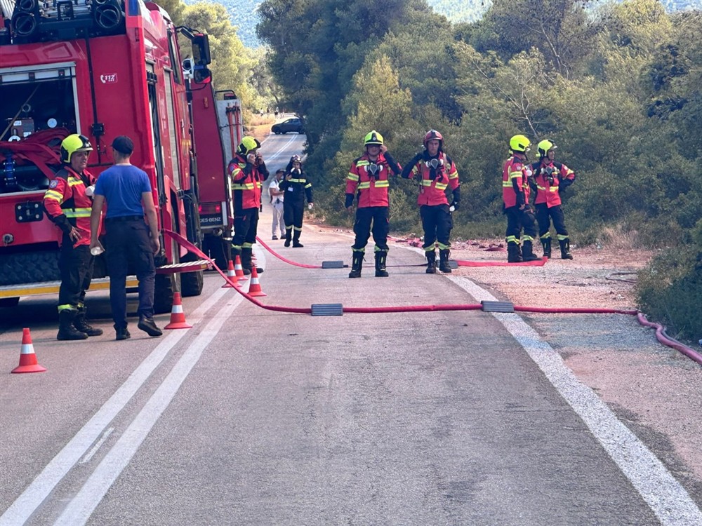 Φωτιά - Σοφικό