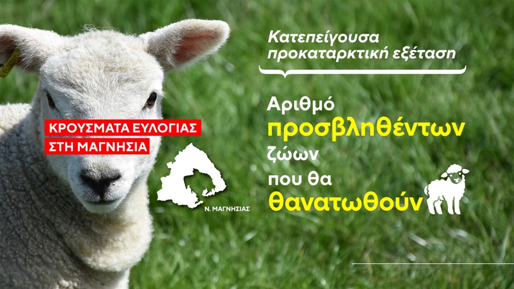 Ευλογιά - Μαγνησία Ευλογιά - Μαγνησία