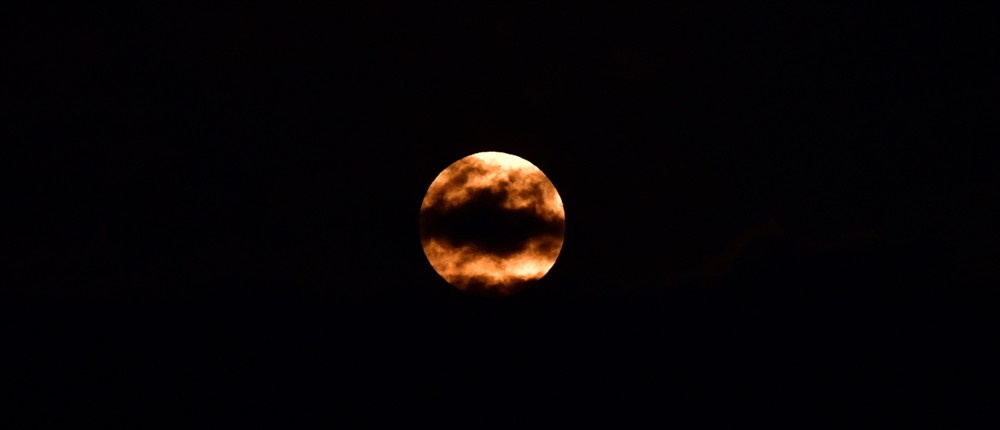 ροζ - Πανσεληνος ροζ - Πανσεληνος