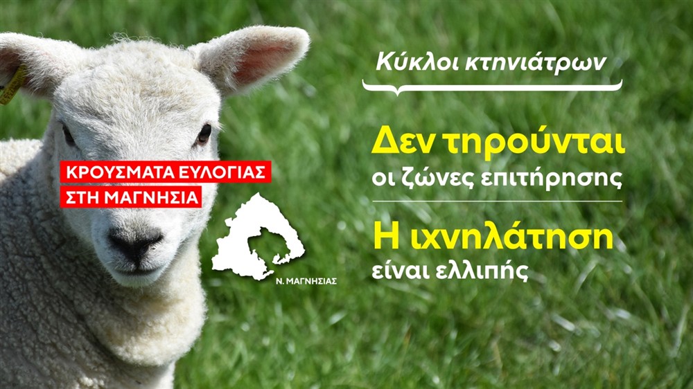 Ευλογιά - Μαγνησία Ευλογιά - Μαγνησία