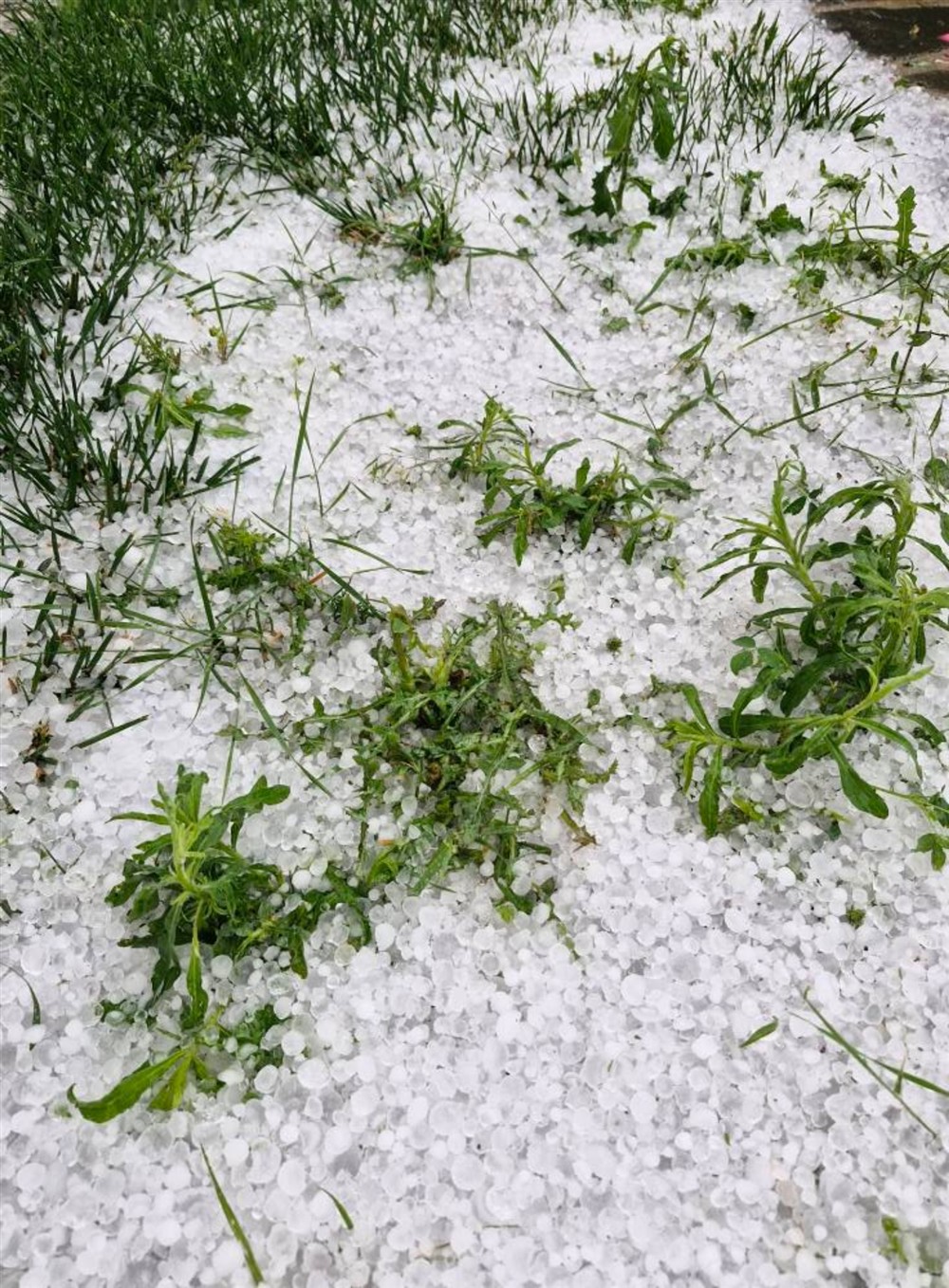 Κοζάνη - Χαλάζι