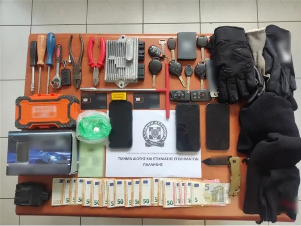 παληνη - οργανωση