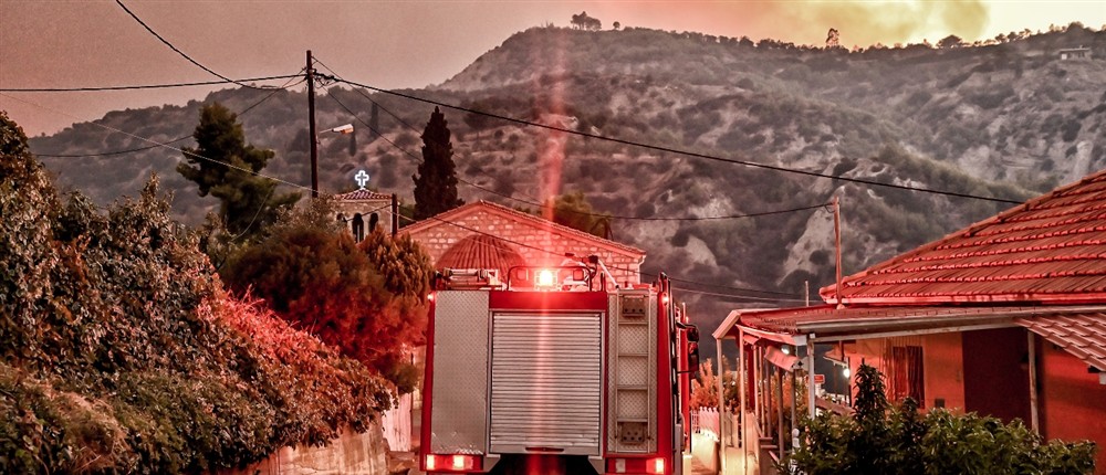 Φωτιά - Ξυλόκαστρο Φωτιά - Ξυλόκαστρο