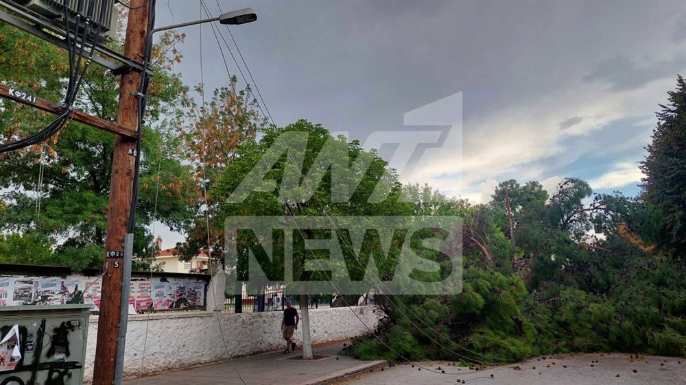 Θεσσαλονίκη - Κακοκαιρία - Δέντρα Θεσσαλονίκη - Κακοκαιρία - Δέντρα