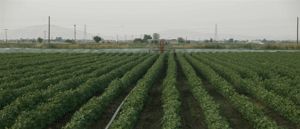 Αγρότες - Καλλιέργειες - Χωράφια - τρακτέρ Αγρότες - Καλλιέργειες - Χωράφια - τρακτέρ