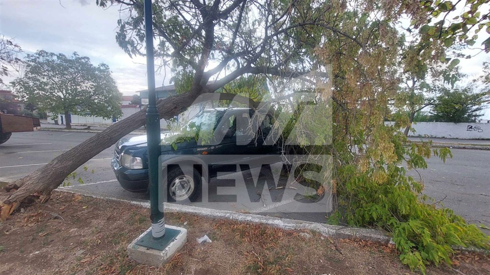 Θεσσαλονίκη - Κακοκαιρία - Δέντρα Θεσσαλονίκη - Κακοκαιρία - Δέντρα