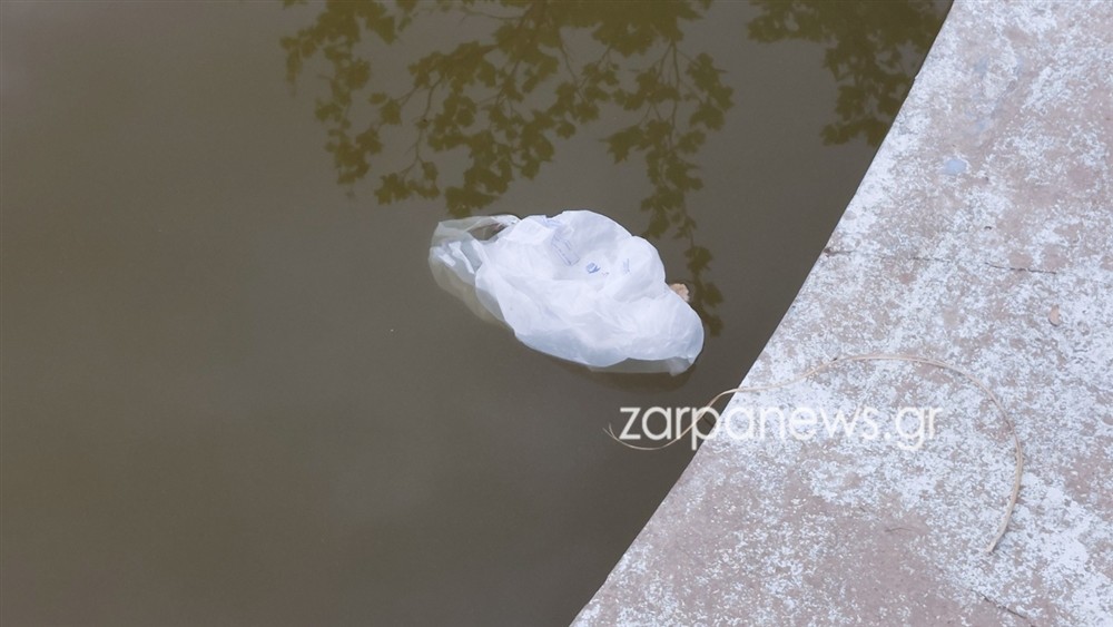 ΧΑΝΙΑ - ΝΕΚΡΕΣ ΧΕΛΩΝΕΣ - ΣΚΟΥΠΙΔΙΑ ΧΑΝΙΑ - ΝΕΚΡΕΣ ΧΕΛΩΝΕΣ - ΣΚΟΥΠΙΔΙΑ