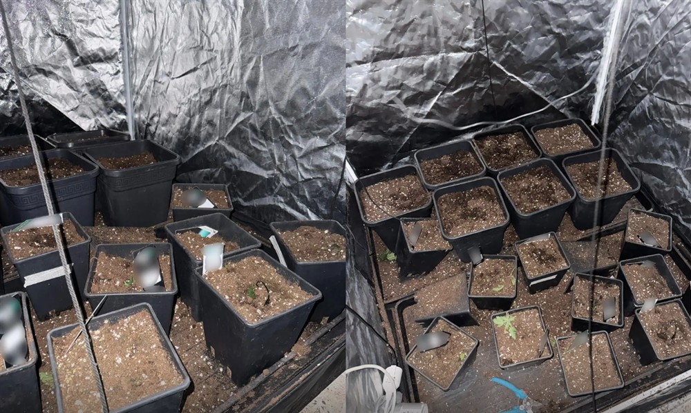 Κλοπές Αττική