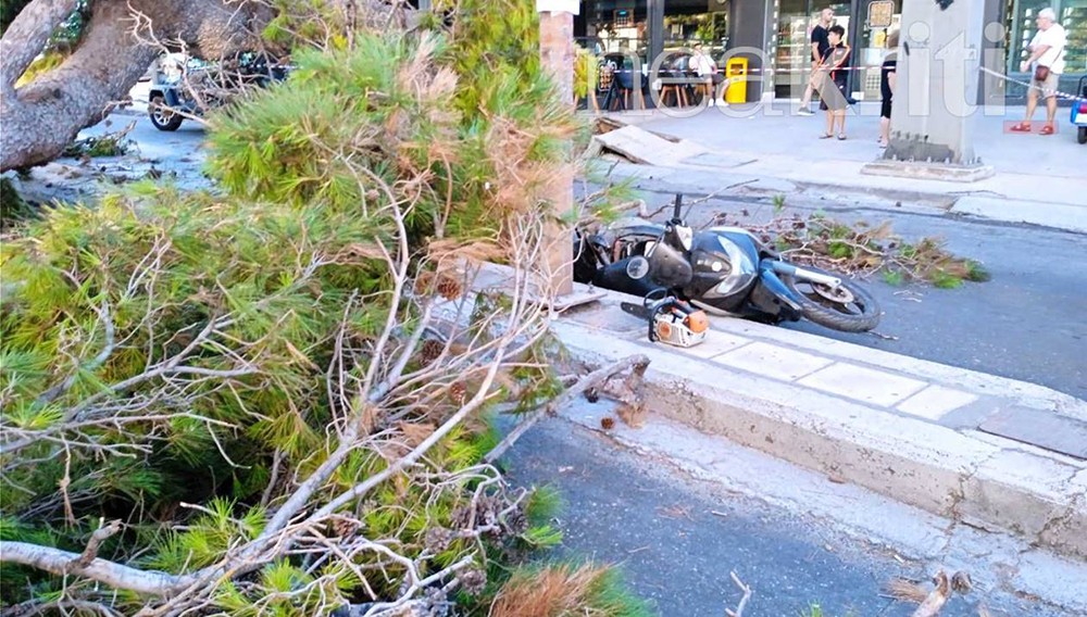 Κρήτη - Δέντρο καταπλάκωσε - μηχανή Κρήτη - Δέντρο καταπλάκωσε - μηχανή