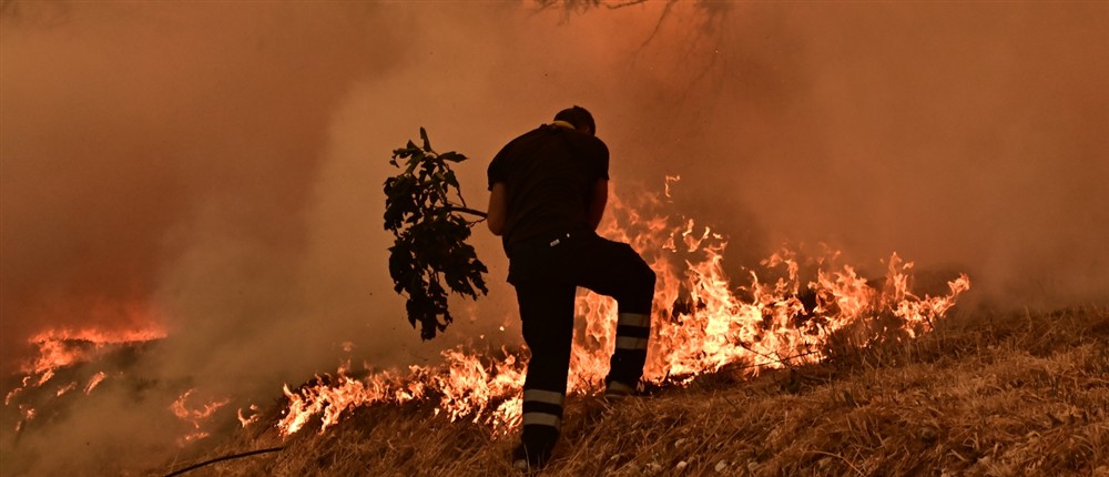 Φωτιά στη Δροσοπηγή Φωτιά στη Δροσοπηγή