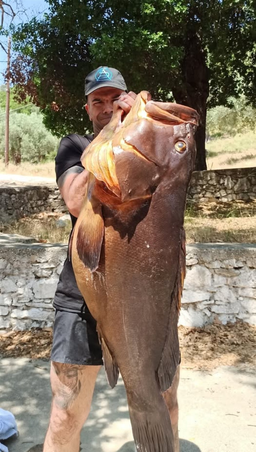 Βόλος - Ψαροντουφεκάς - Ροφός Βόλος - Ψαροντουφεκάς - Ροφός