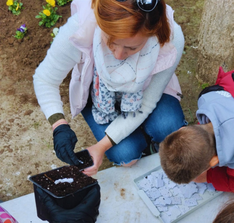 Ψηφοδέλτια - χαρτί - σπόροi λουλουδιών