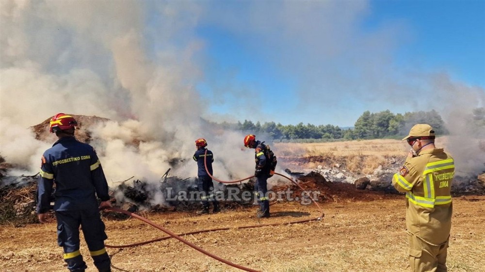 Φθιώτιδα - φωτιά - σκουπίδια