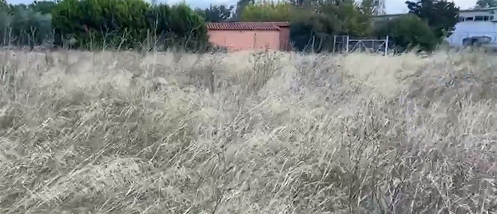 Ακαθάριστο οικόπεδο