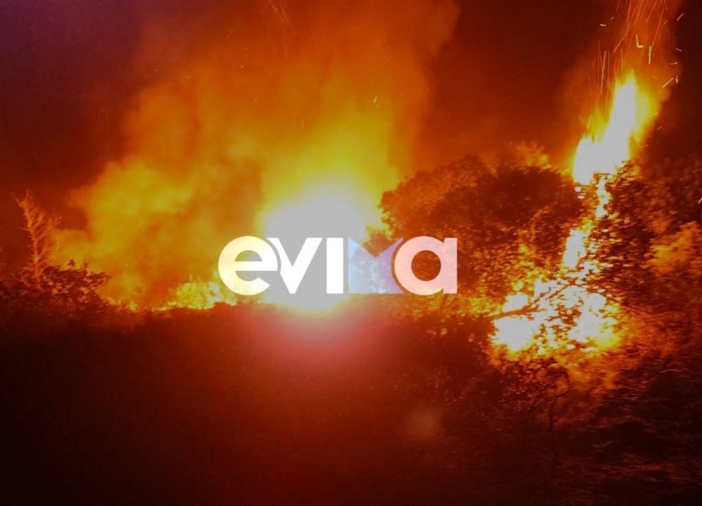 Στύρα - Φωτιά Στύρα - Φωτιά