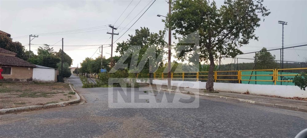 Θεσσαλονίκη - Κακοκαιρία - Δέντρα Θεσσαλονίκη - Κακοκαιρία - Δέντρα