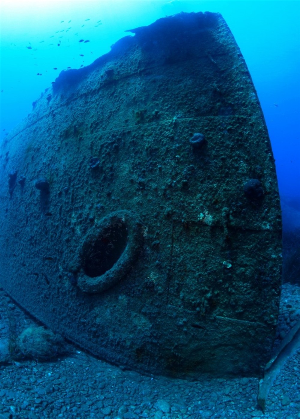 Αδριάς - ναυάγιο - Φαλκονέρα Αδριάς - ναυάγιο - Φαλκονέρα