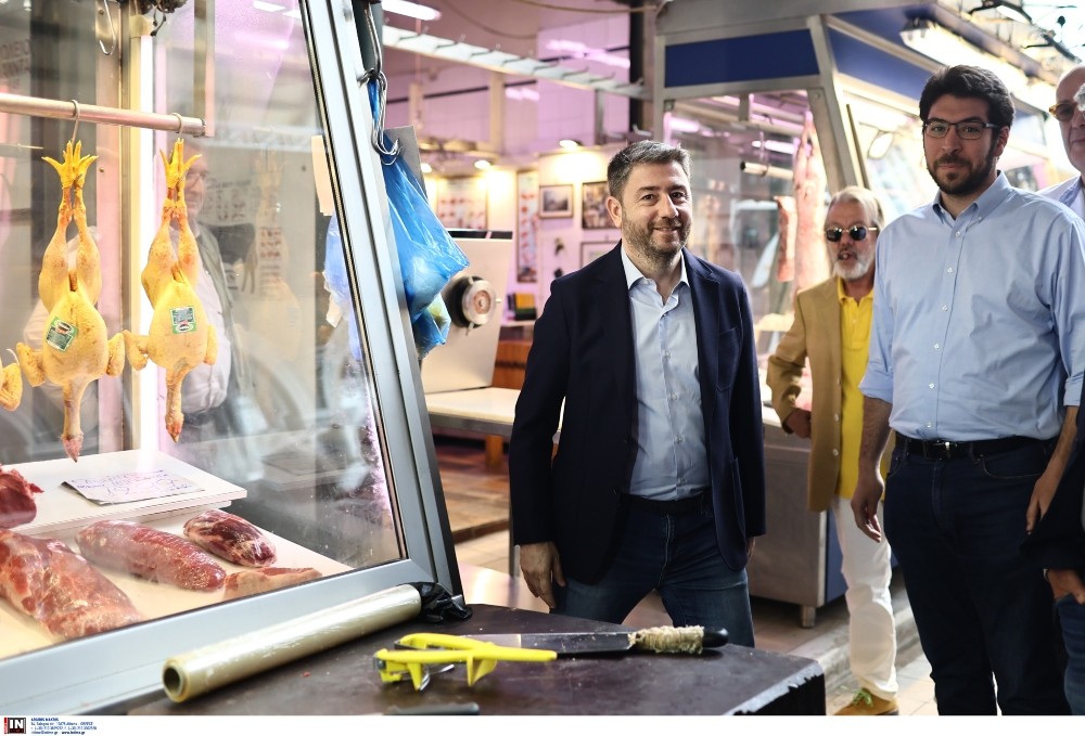 Νίκος Ανδρουλάκης Νίκος Ανδρουλάκης