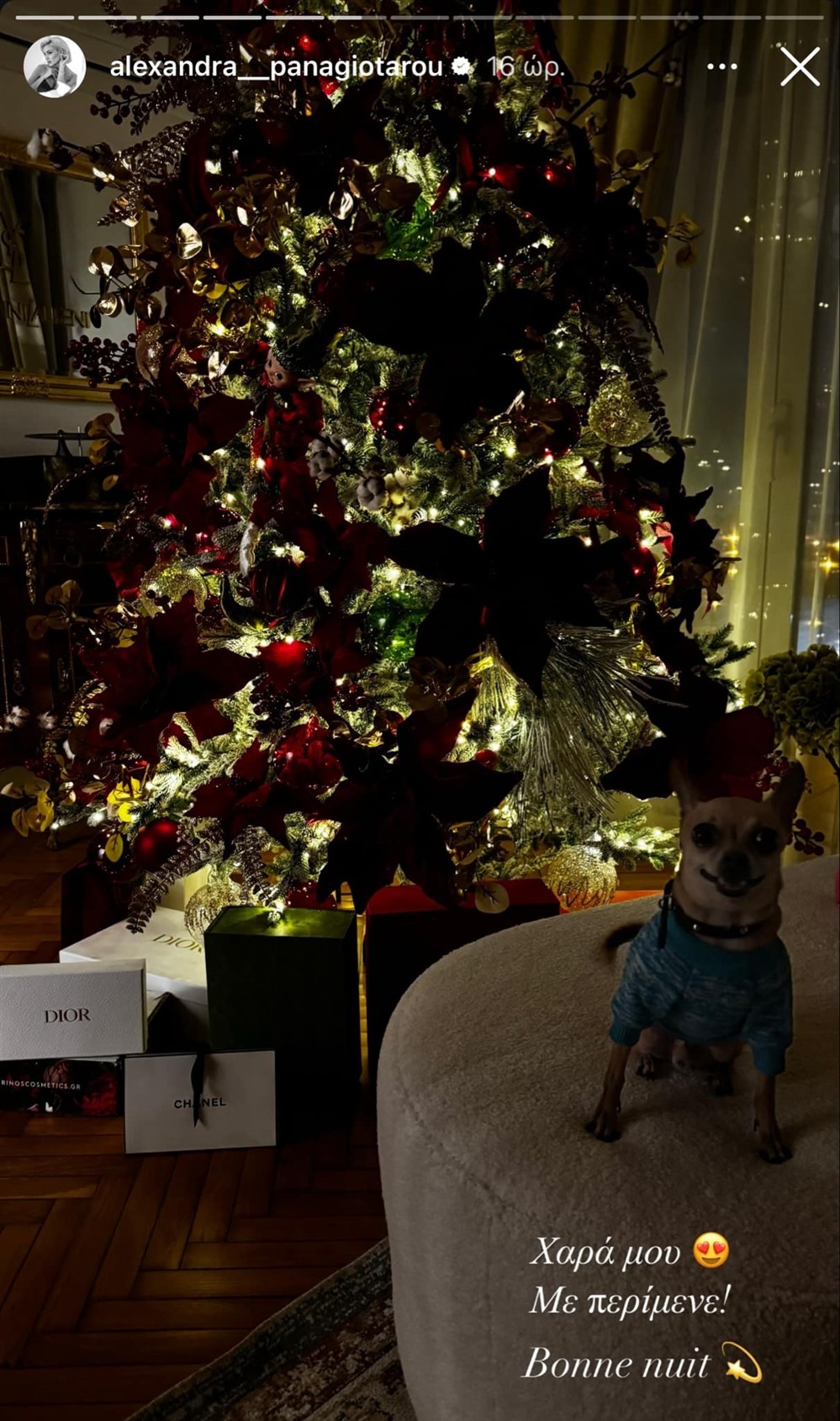 Αλεξάνδρα Παναγιώταρου Αλεξάνδρα Παναγιώταρου