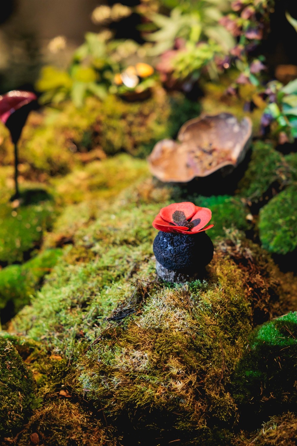 DELTA VENUE DELTA VENUE