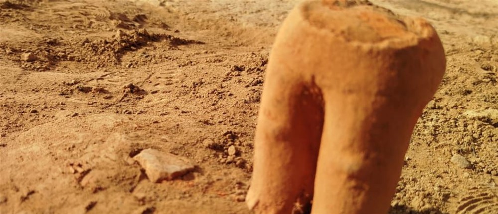 Καρδίτσα - ανασκαφή - Βοτανικός Κήπος - Λίμνη Πλαστήρα Καρδίτσα - ανασκαφή - Βοτανικός Κήπος - Λίμνη Πλαστήρα