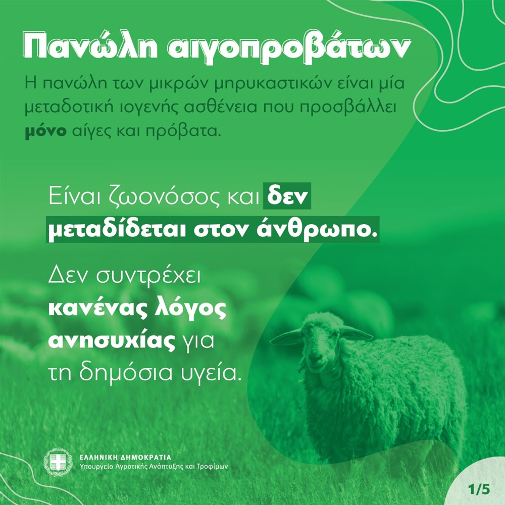 Πανώλη - Πρόβατα Πανώλη - Πρόβατα