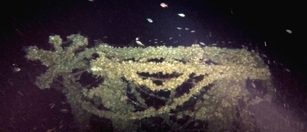 Υποβρύχιο Trooper - Ναυάγιο Υποβρύχιο Trooper - Ναυάγιο