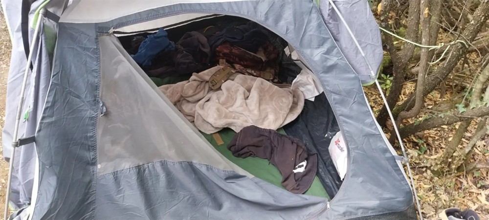 Θεσπρωτία - Φυτεία ινδικής κάνναβης Θεσπρωτία - Φυτεία ινδικής κάνναβης