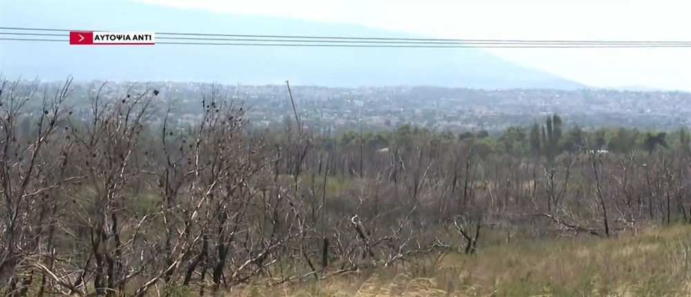 Βαρυμπόμπη Βαρυμπόμπη