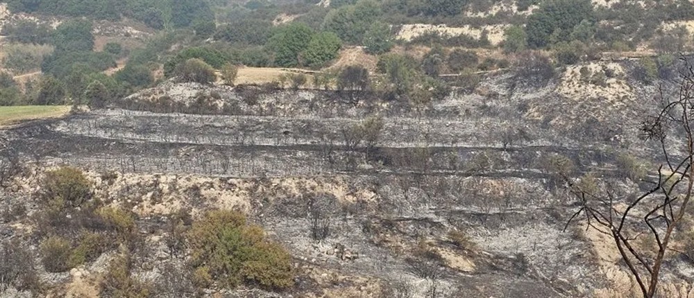 Κύπρος - Πάφος - Φωτιά Κύπρος - Πάφος - Φωτιά