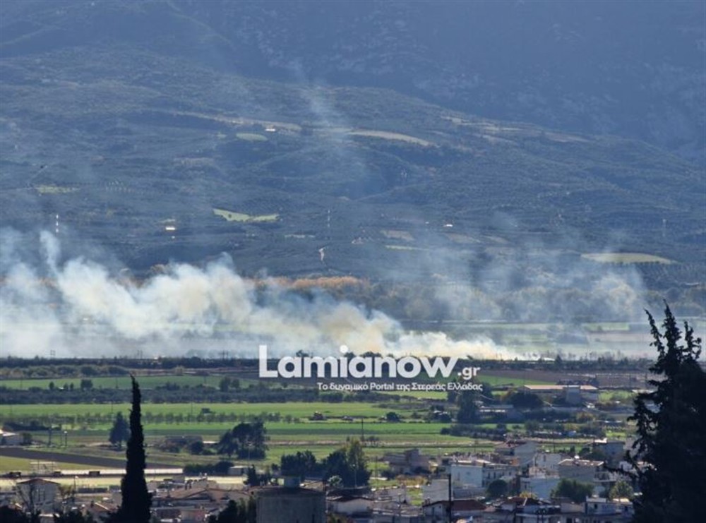 Λαμία - Φωτιά