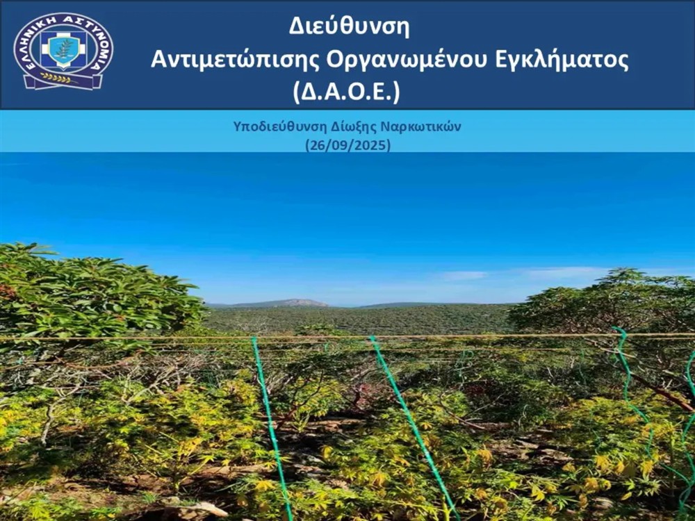 κάνναβη - δενρύλλια κάνναβη - δενρύλλια