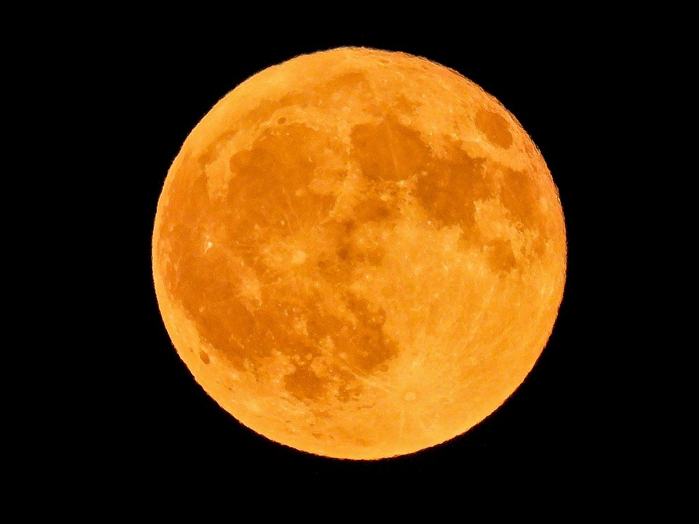 πανσέληνος οξύρρυγχου Αύγουστος 2025