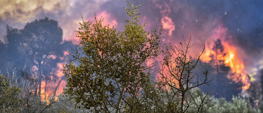 φωτια στο Σοφικο φωτια στο Σοφικο