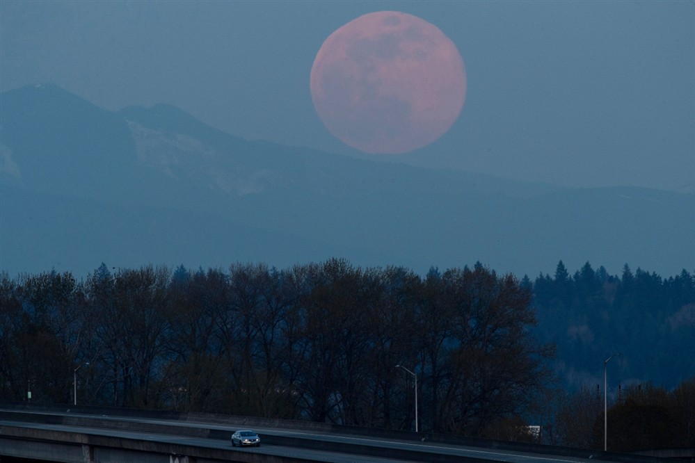 Πανσέληνος - Απρίλιος - Φεγγάρι - Ροζ Πανσέληνος - Απρίλιος - Φεγγάρι - Ροζ
