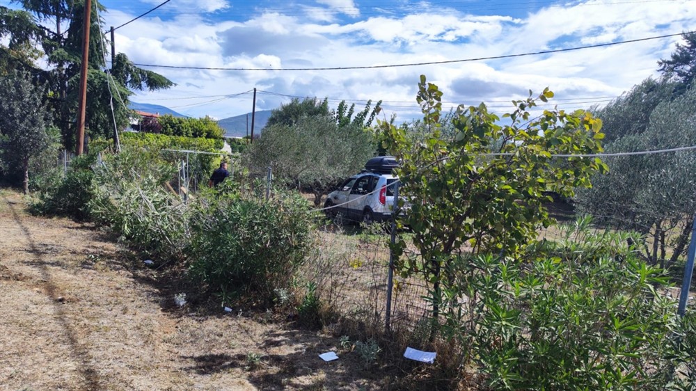 Θεσσαλονίκη - τροχαίο - παράσυρση Θεσσαλονίκη - τροχαίο - παράσυρση