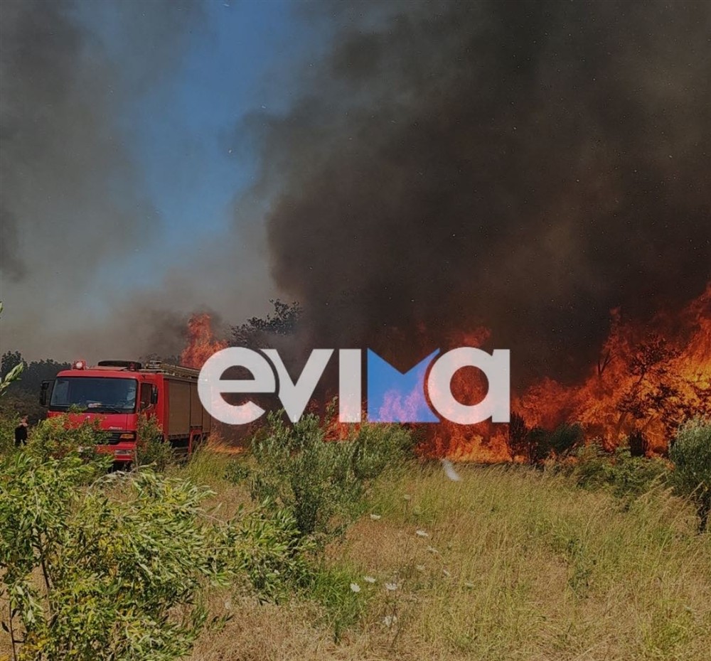 φωτιά - Εύβοια - Αλιβέρι