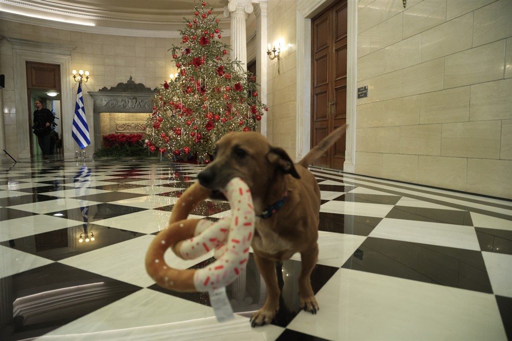 Καλαντα - Μητσοτακης Καλαντα - Μητσοτακης