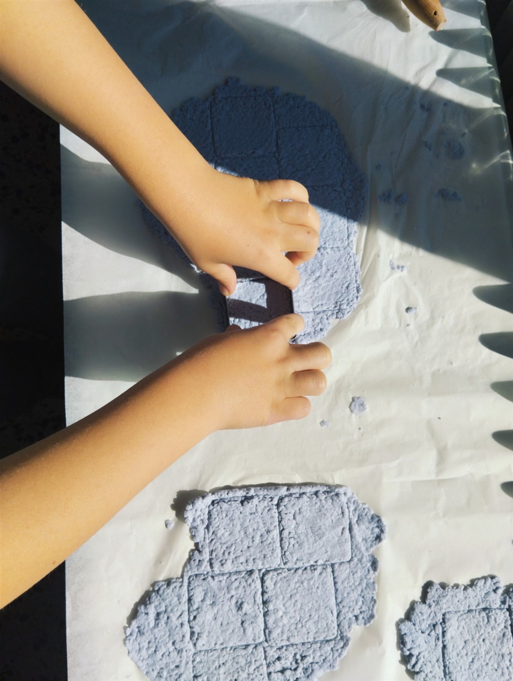 Ψηφοδέλτια - χαρτί - σπόροi λουλουδιών