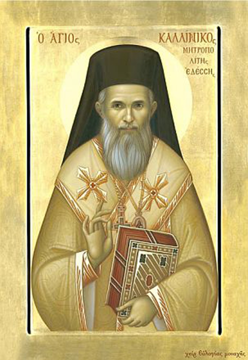 Μητροπολίτης Εδέσσης, Πέλλης καί Αλμωπίας Καλλίνικος - Δημήτριος Πούλος