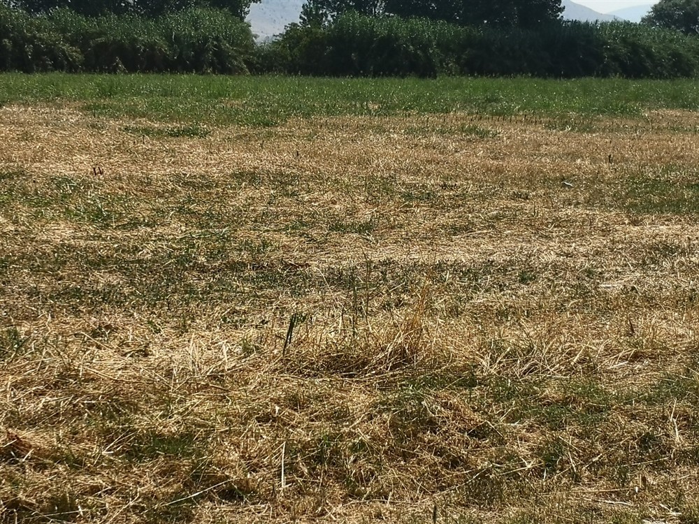 Κλιματική αλλαγή - χωράφια - πότισμα